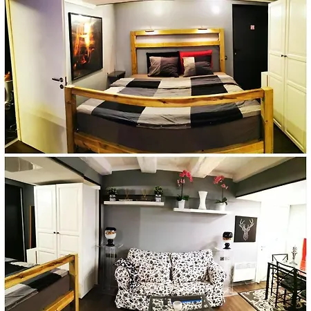 公寓 Old Town Basement 维尔纽斯